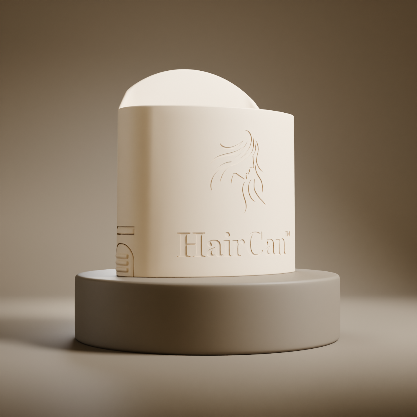 HairCan™ – The Chic Hair Storage Solution